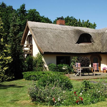 Wg Bernstein - Reetdachhaus - Ruhe Und Seeblick Sellin  Extérieur photo
